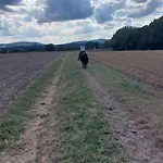 Wohlfuehlwohnung Im Gruenen Auf Pferdehof