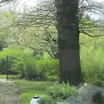 Wohlfuehlwohnung Im Gruenen Auf Pferdehof Apartmán