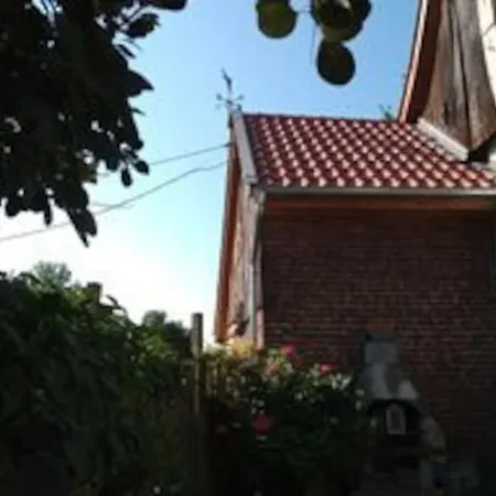 Wohlfuehlwohnung Im Gruenen Auf Pferdehof Daire