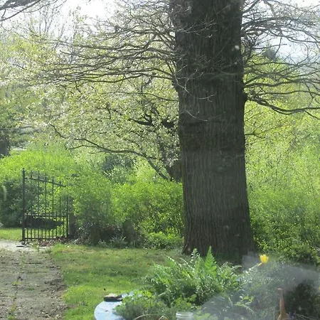 Wohlfuehlwohnung Im Gruenen Auf Pferdehof Daire