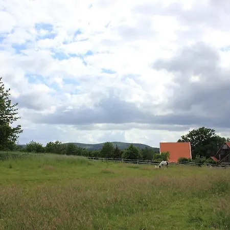 Daire Wohlfuehlwohnung Im Gruenen Auf Pferdehof