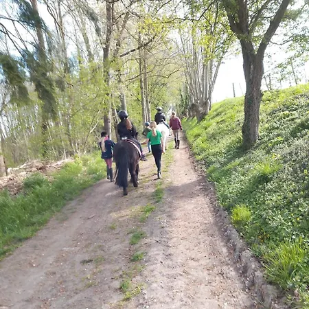 Wohlfuehlwohnung Im Gruenen Auf Pferdehof *
